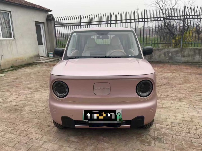 沧州24年吉利熊猫1