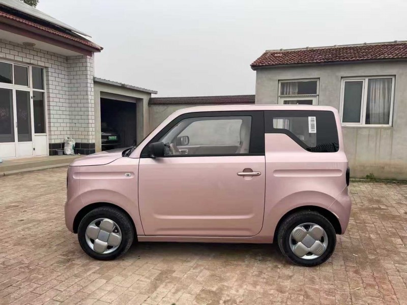 沧州24年吉利熊猫4