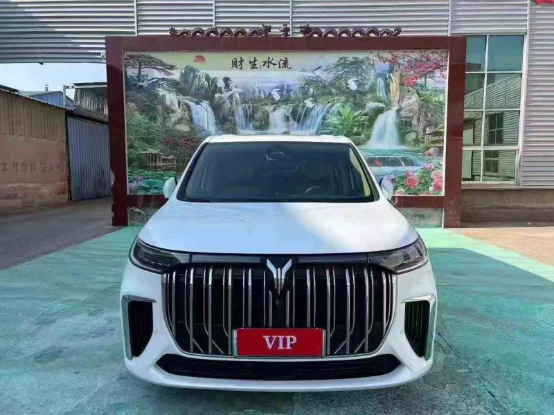 青岛23年岚图汽车梦想家1