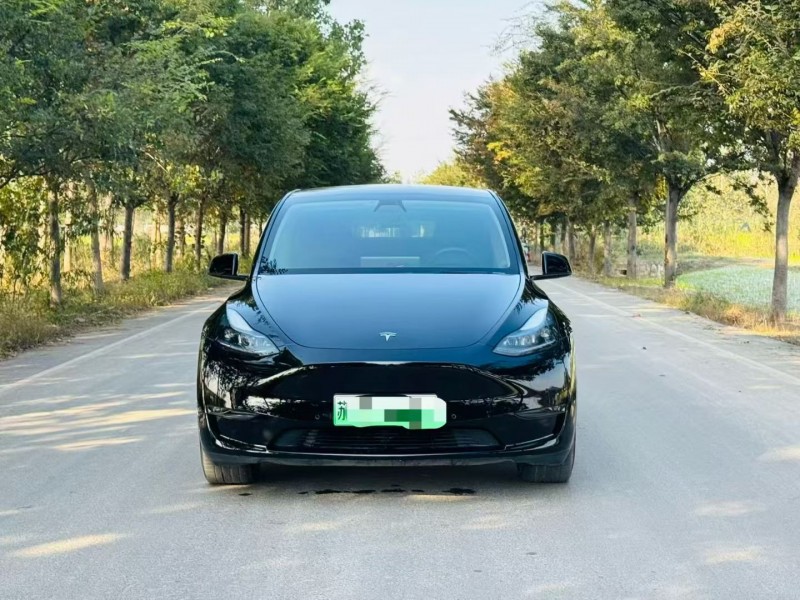 徐州23年特斯拉MODEL Y1