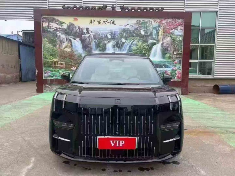 枣庄23年极氪汽车0091