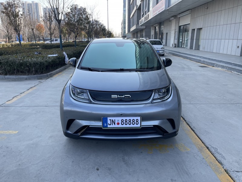 济宁23年比亚迪海豚1