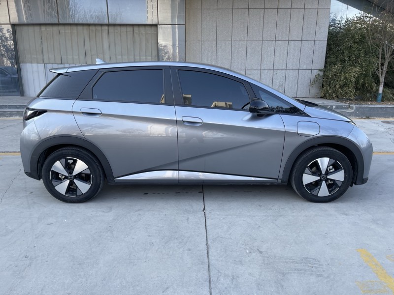 济宁23年比亚迪海豚7