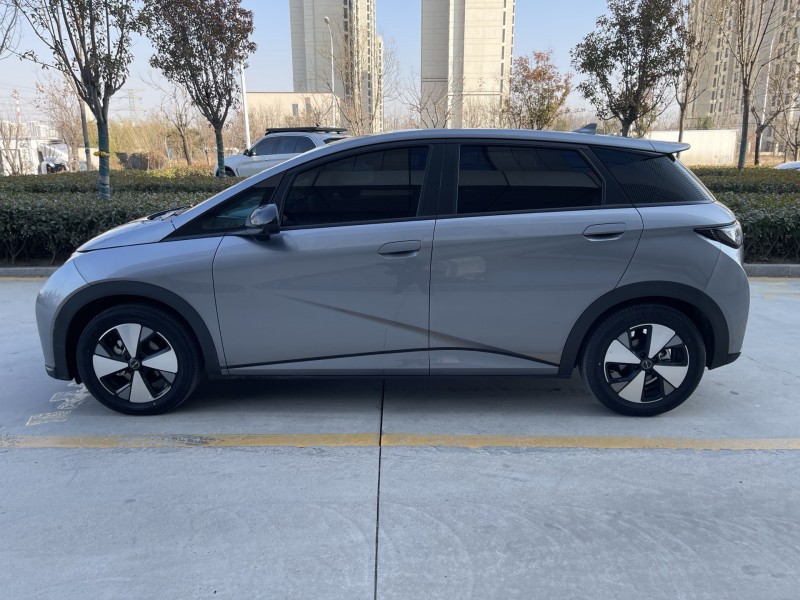 济宁23年比亚迪海豚8