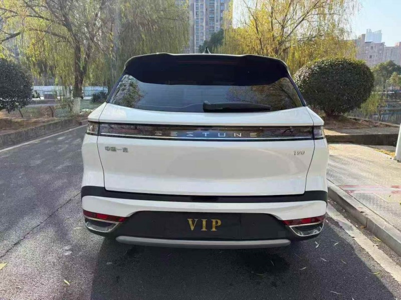 湘潭25年奔腾T908