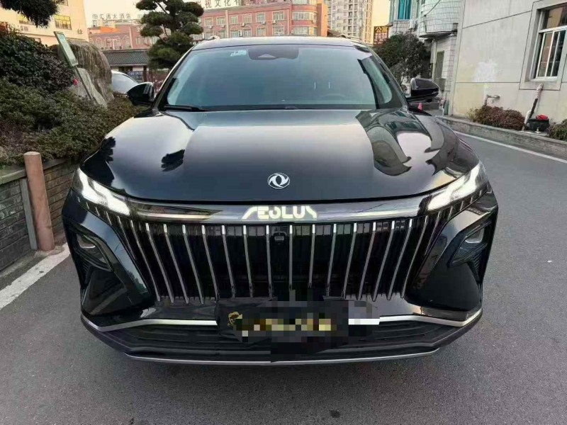 温州22年东风风神1