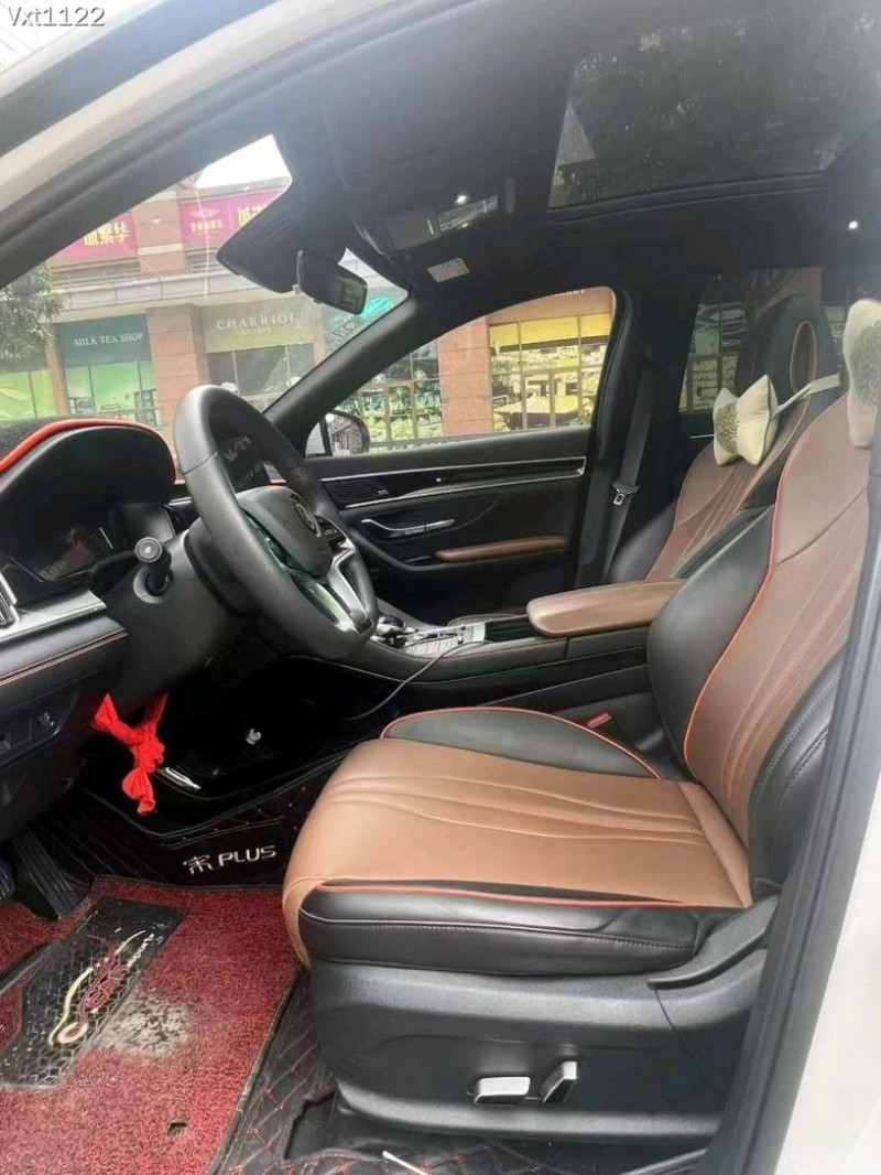 东莞20年比亚迪宋9