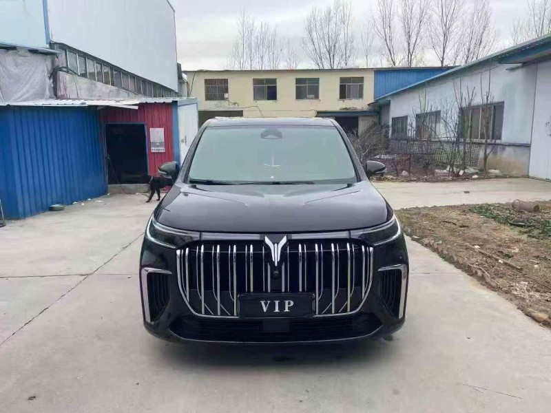 潍坊24年岚图汽车梦想家1