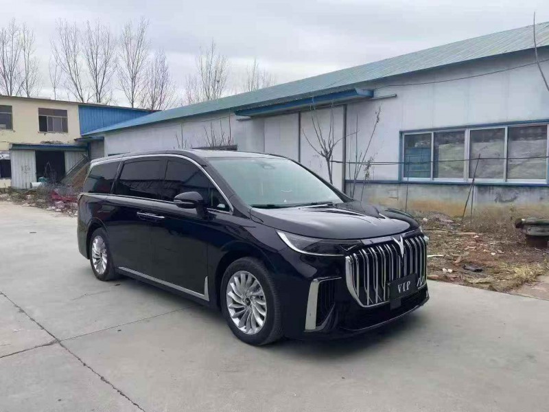 潍坊24年岚图汽车梦想家2