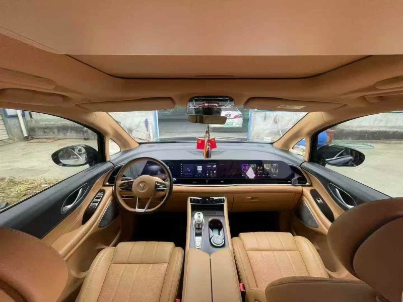 潍坊24年岚图汽车梦想家4