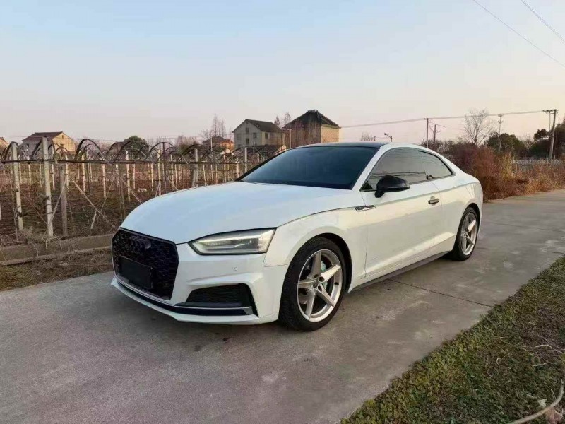 绍兴18年奥迪A53