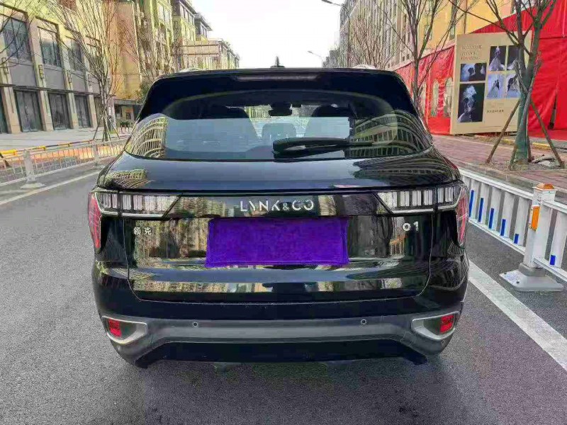 温州19年领克019