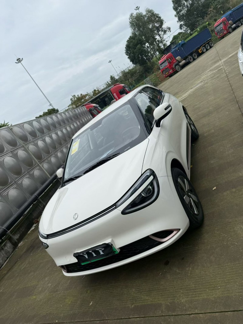 乐山25年东风纳米2