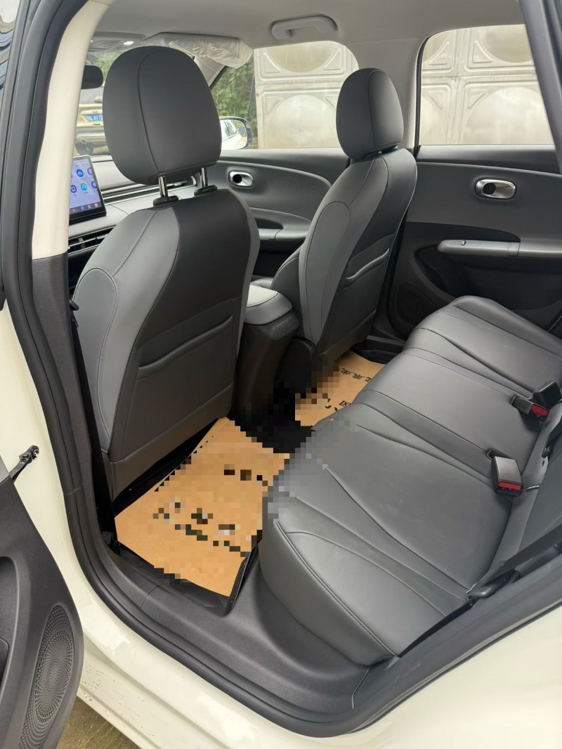 乐山25年东风纳米4