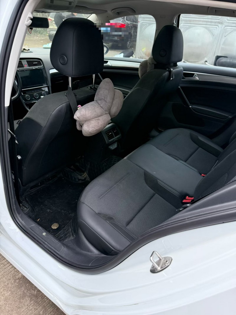 乐山20年大众高尔夫4