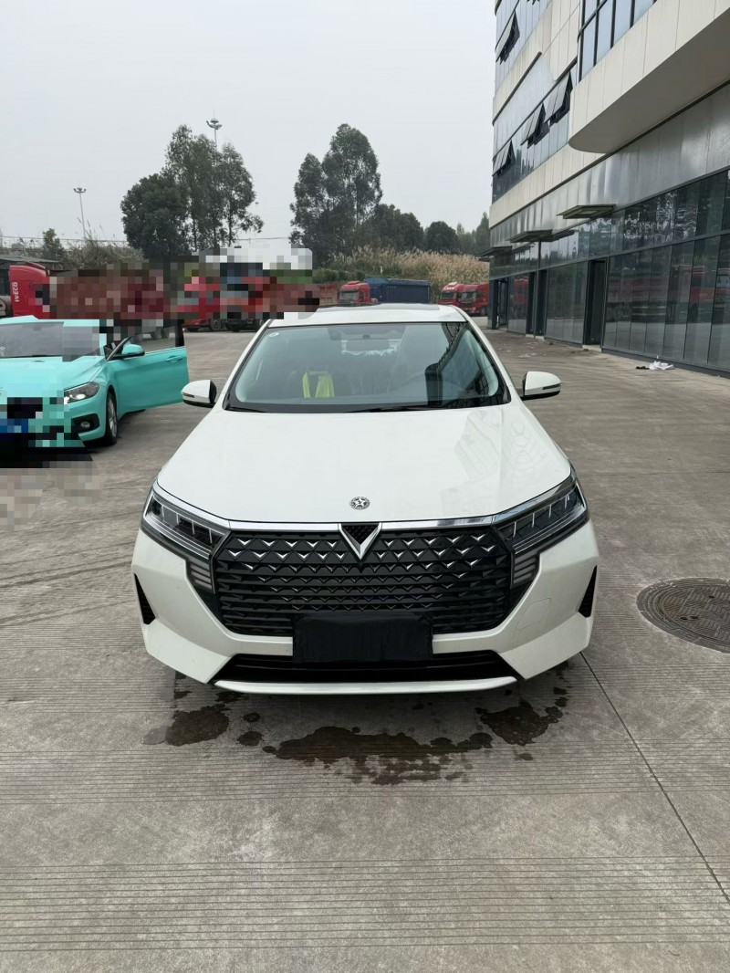 乐山24年启辰D601