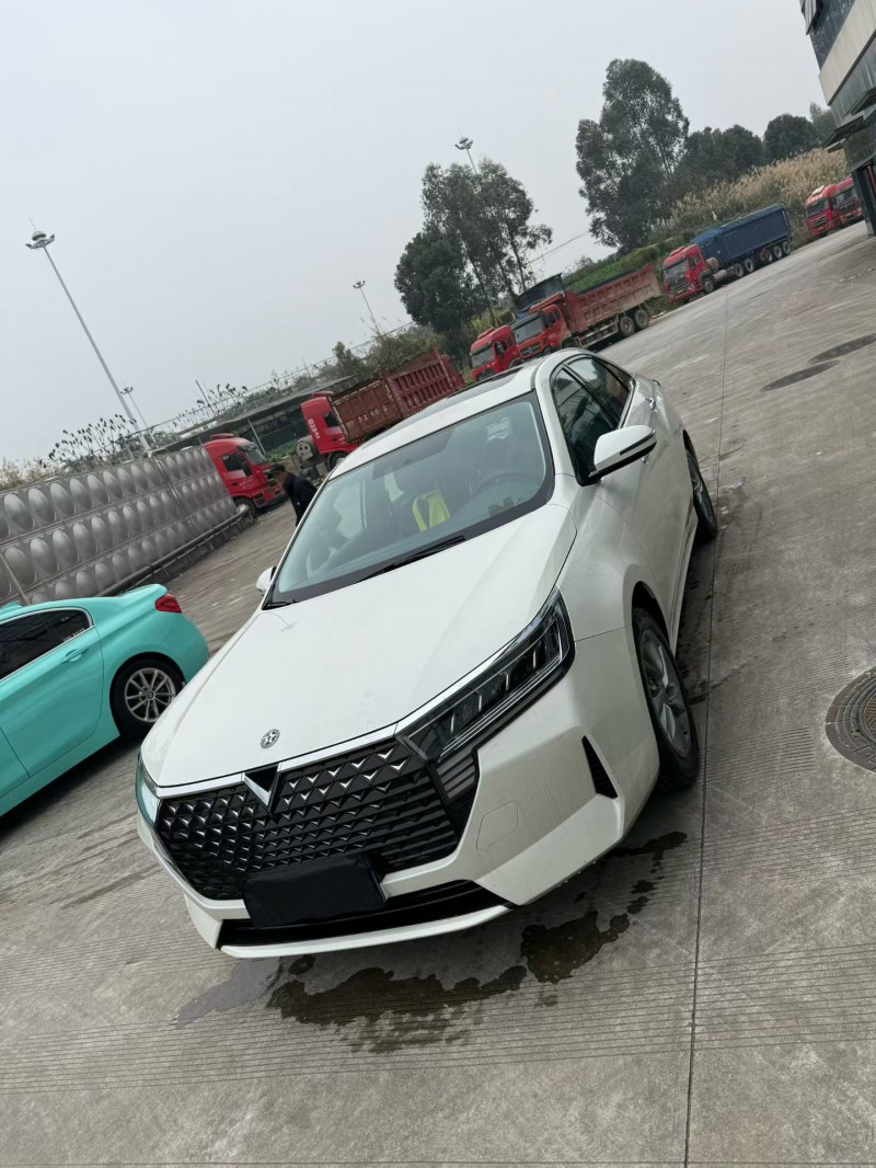 乐山24年启辰D602