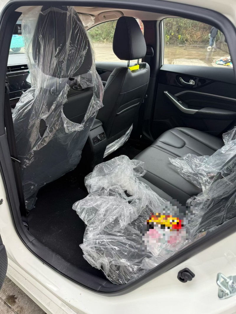 乐山24年启辰D604