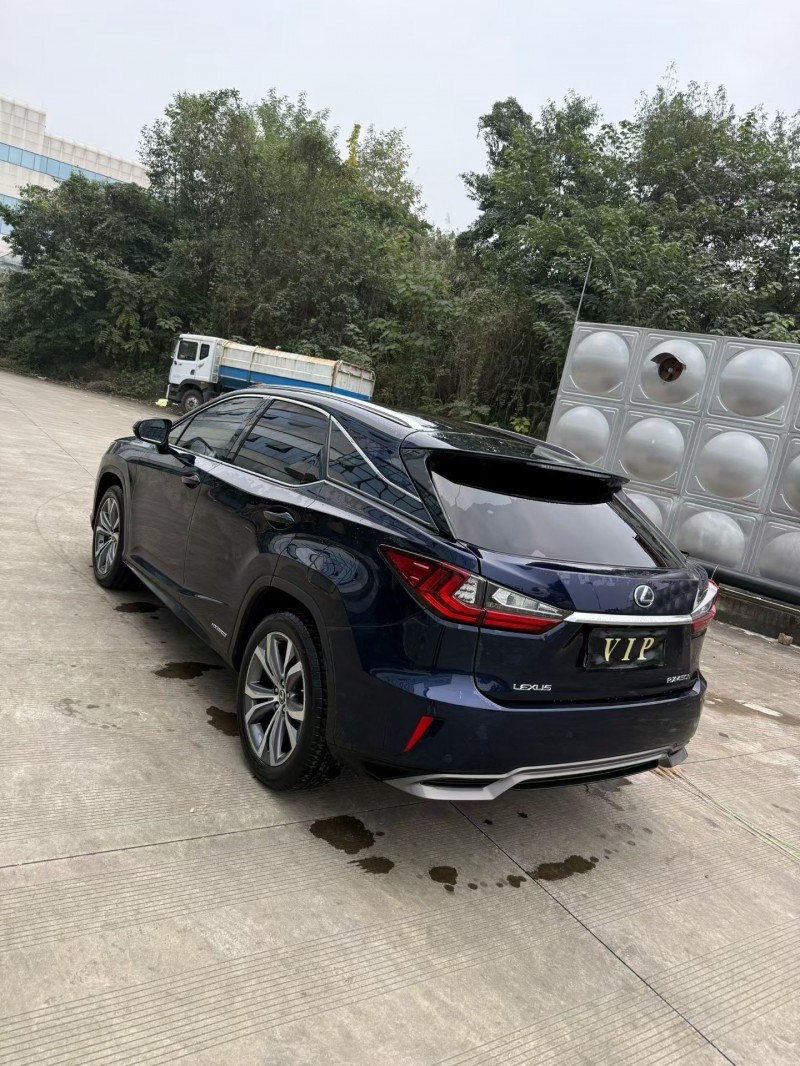 乐山18年雷克萨斯RX5