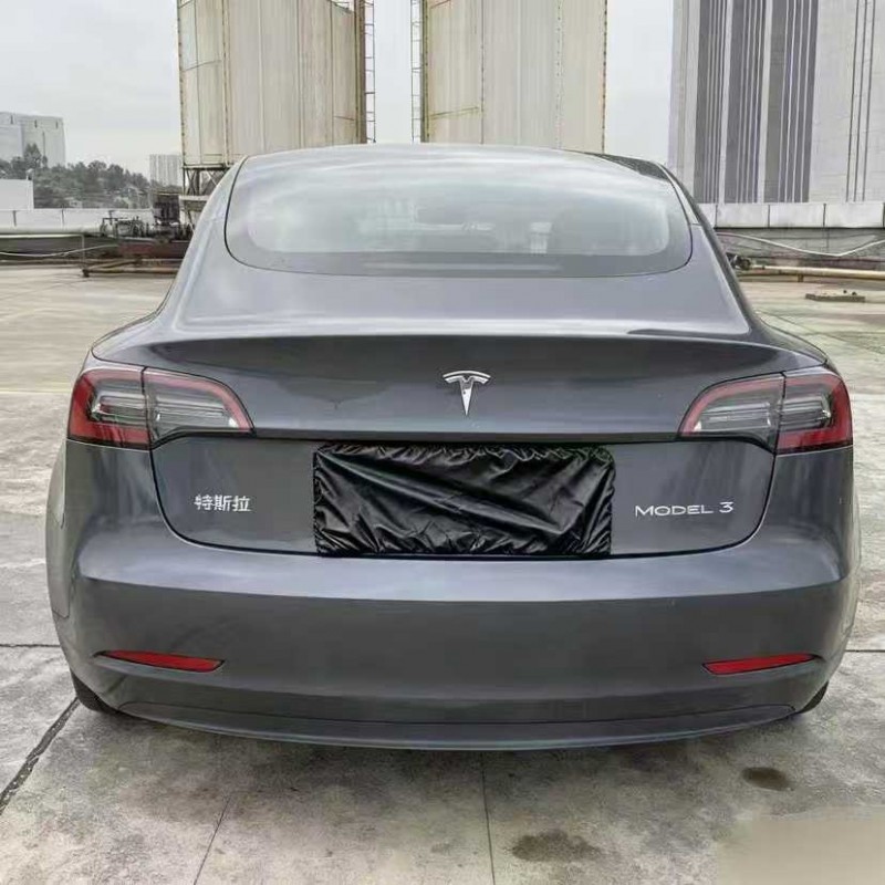 东莞21年特斯拉MODEL 38