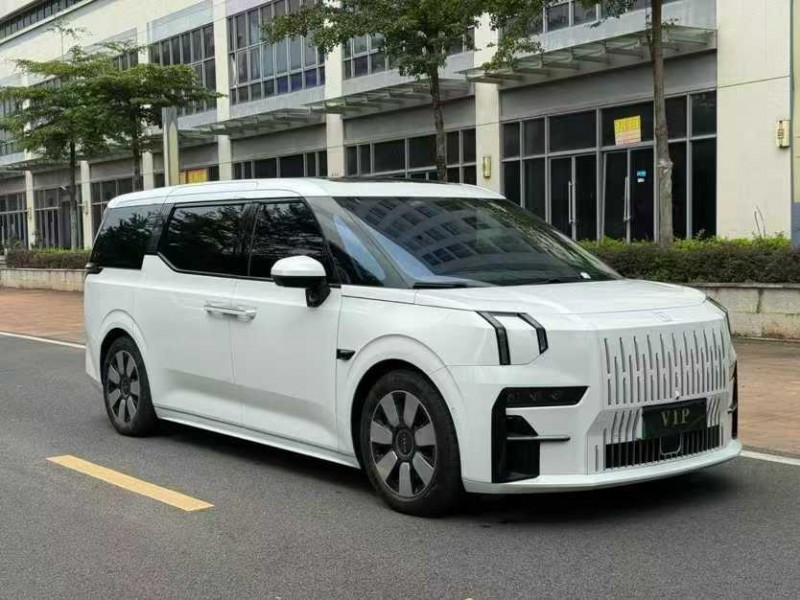 东莞24年极氪汽车0092