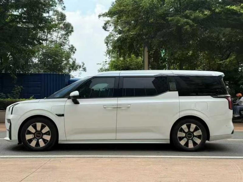 东莞24年极氪汽车0099