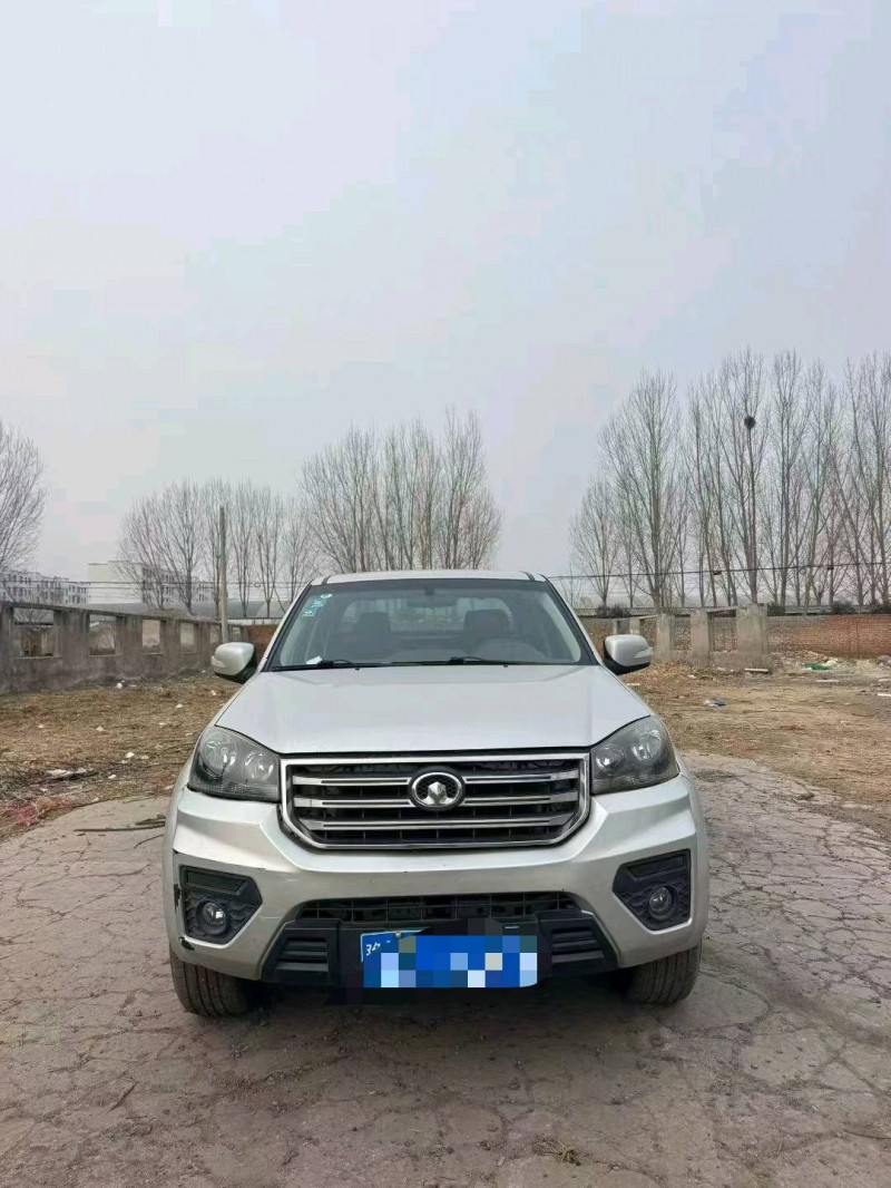 鹤壁20年长城汽车风骏1