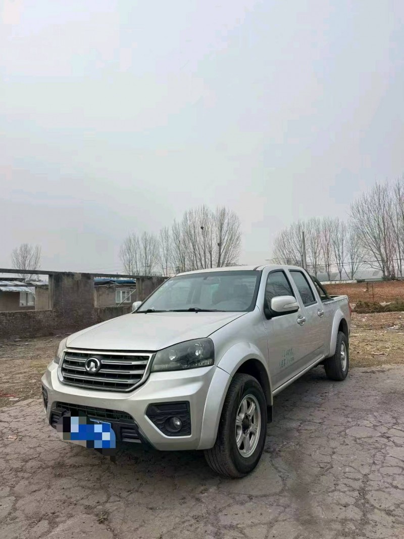 鹤壁20年长城汽车风骏2