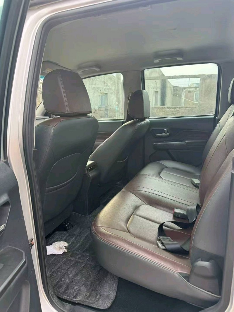 鹤壁20年长城汽车风骏9