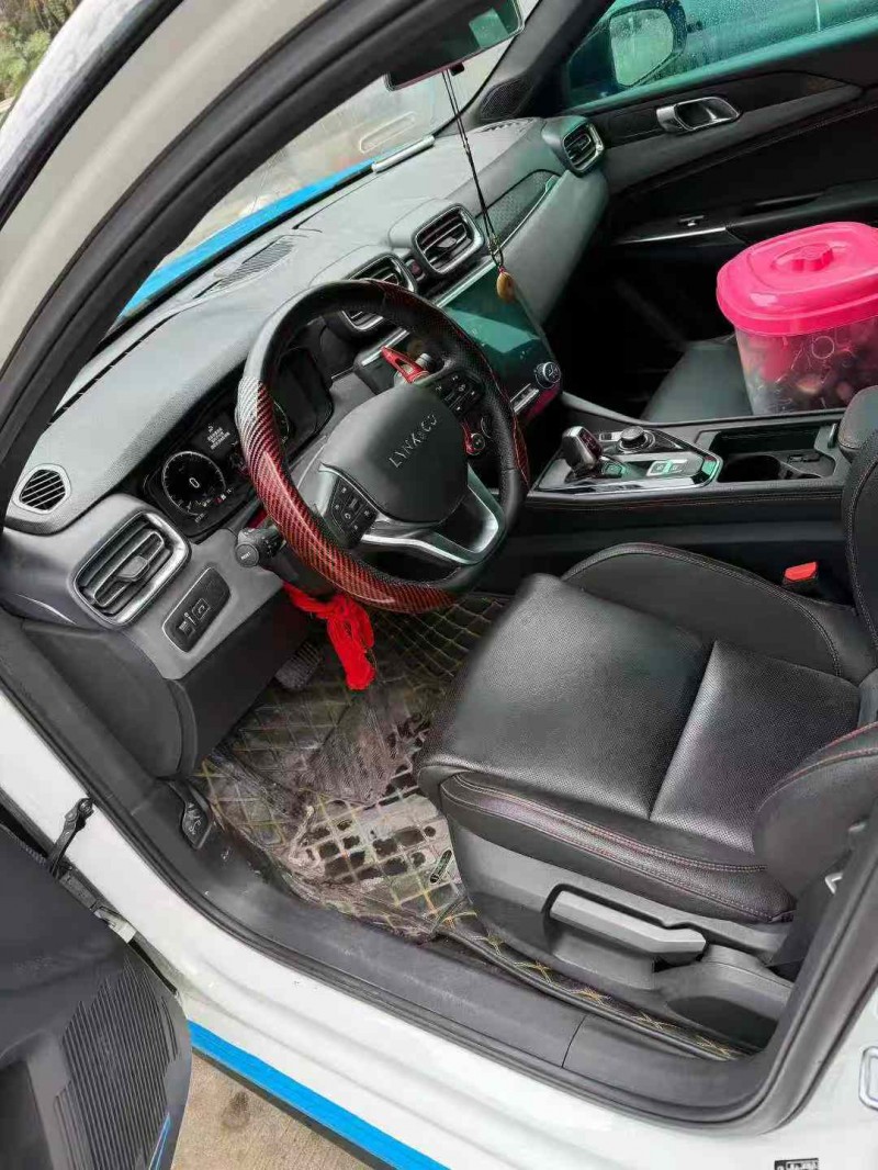 乐山20年领克033