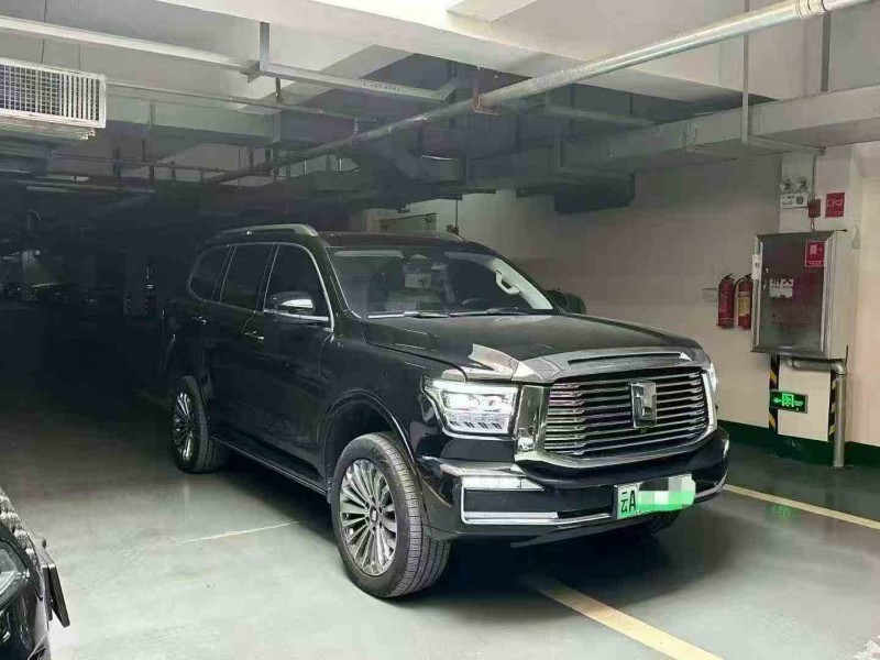 保山24年长城汽车坦克2