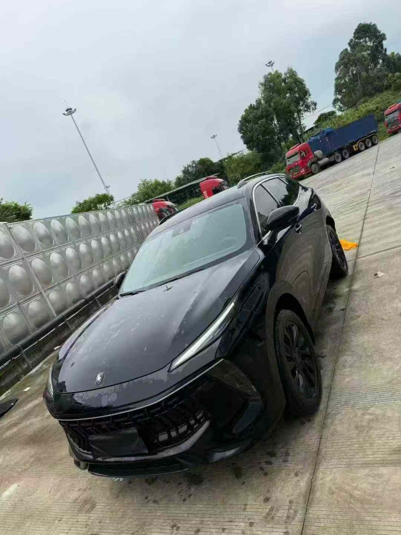 乐山23年东风风行2