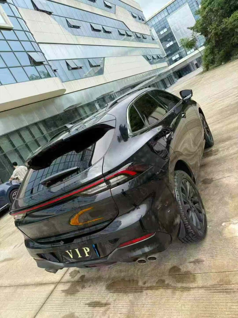 乐山23年东风风行7