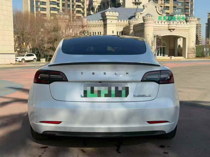 张家口21年特斯拉MODEL 39