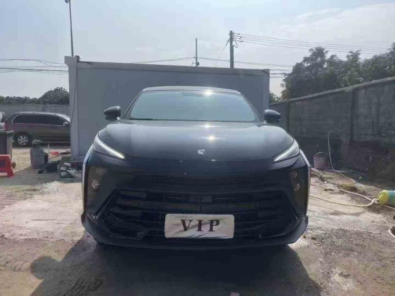 湛江24年东风风行1