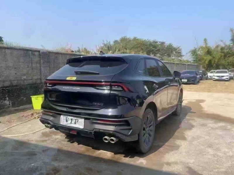 湛江24年东风风行6