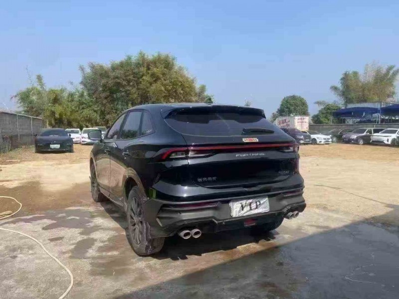 湛江24年东风风行7