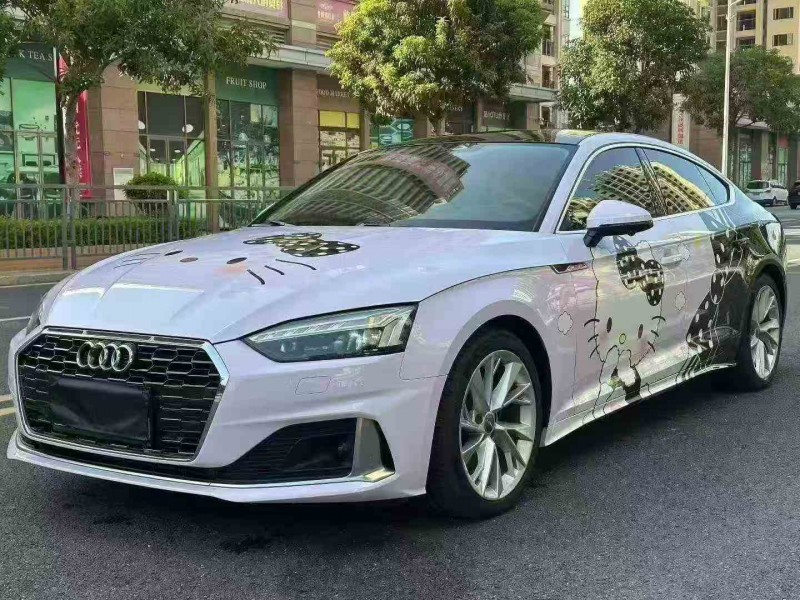 珠海21年奥迪A53