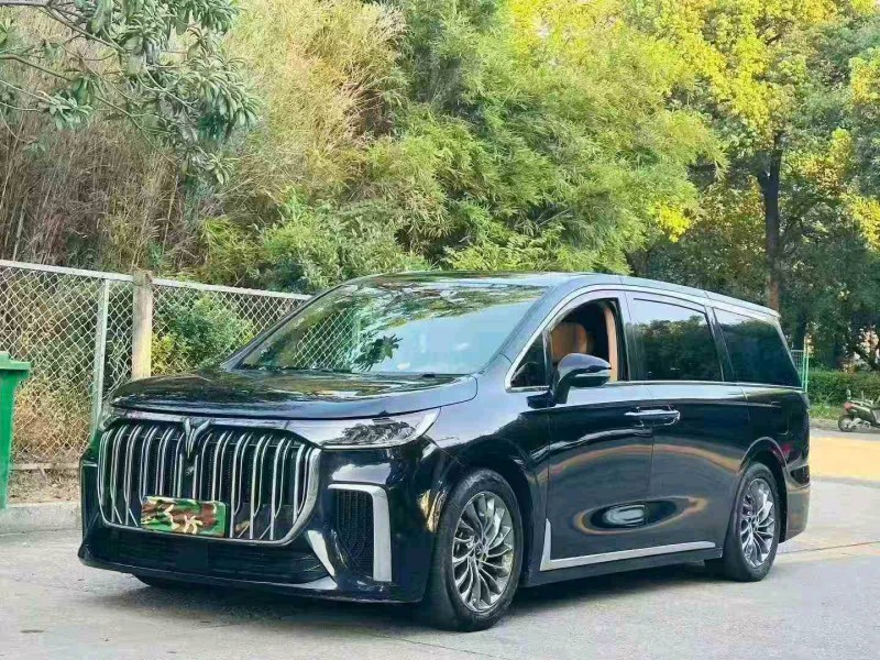 珠海23年岚图汽车梦想家3