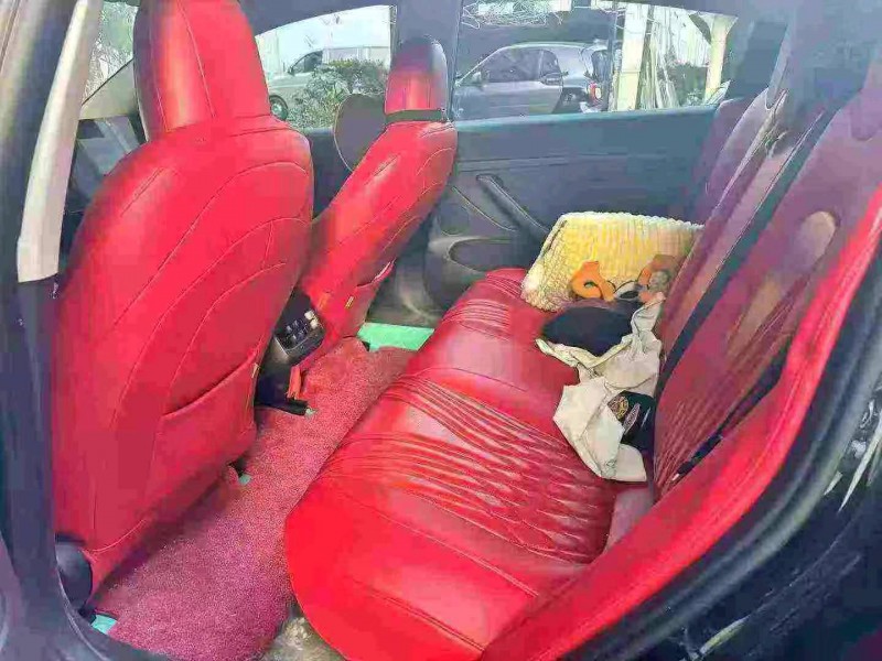 泉州22年特斯拉MODEL 39