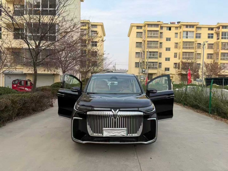 徐州25年岚图汽车梦想家7