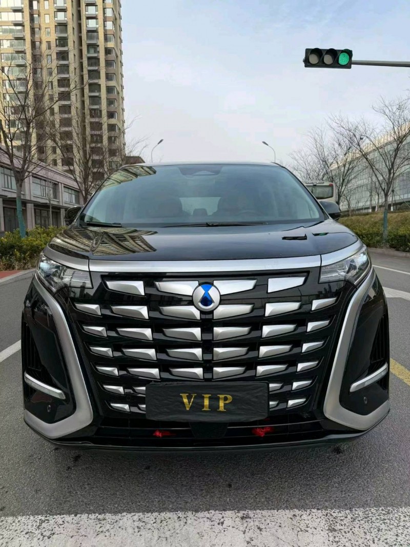 日照24年腾势D91