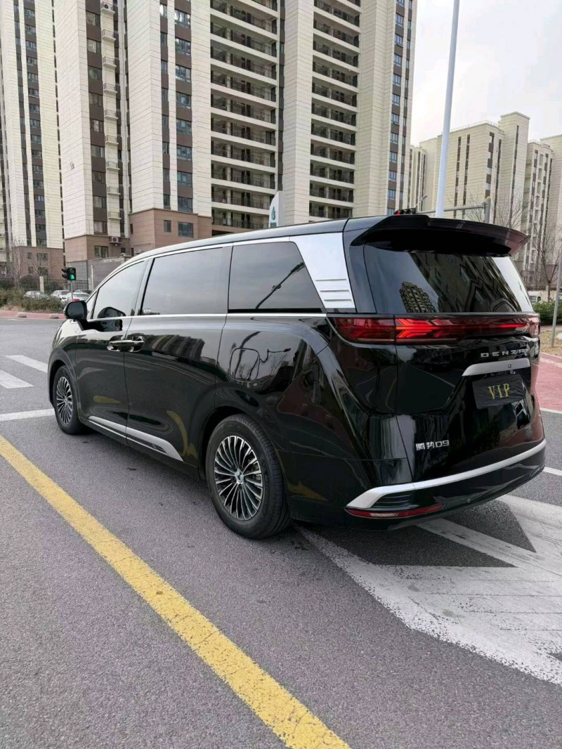 日照24年腾势D92