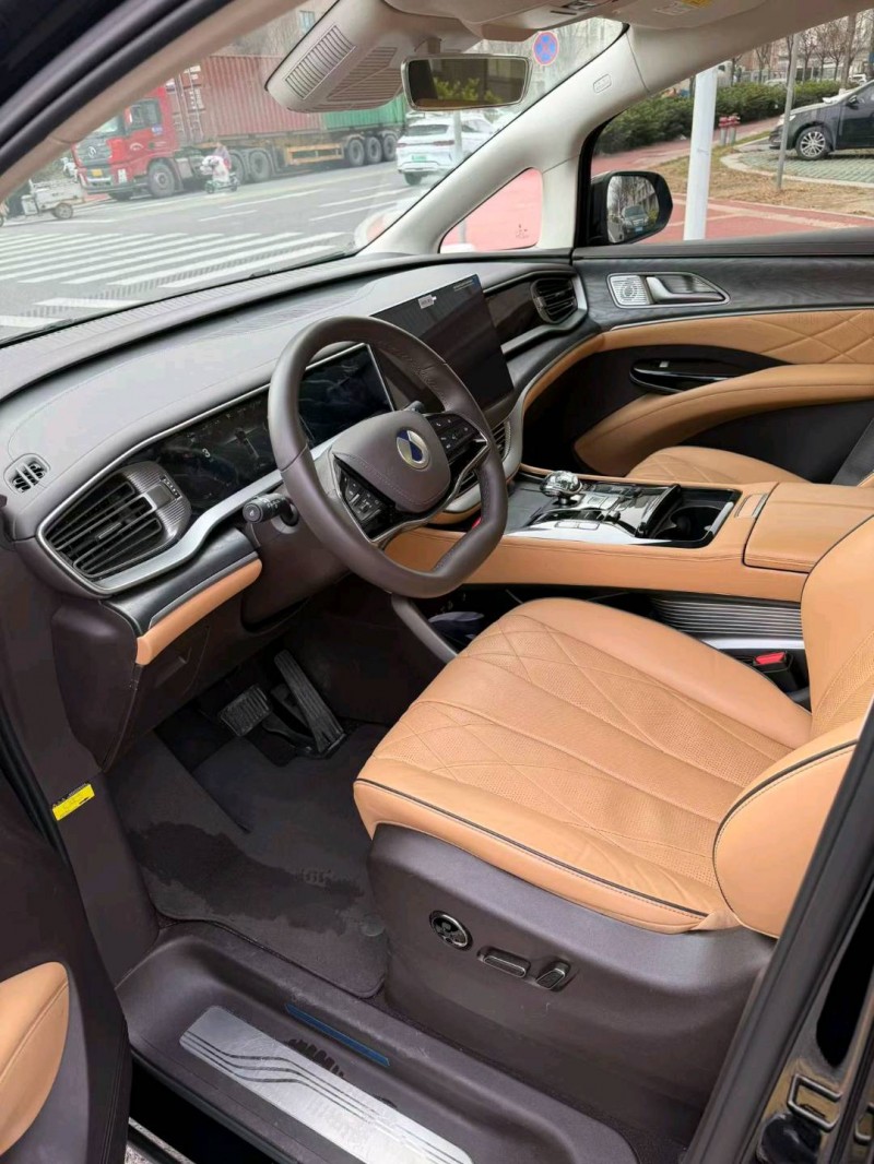 日照24年腾势D95