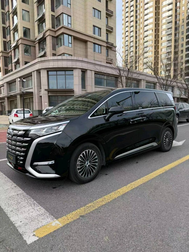 日照24年腾势D98