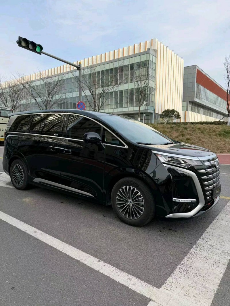 日照24年腾势D99