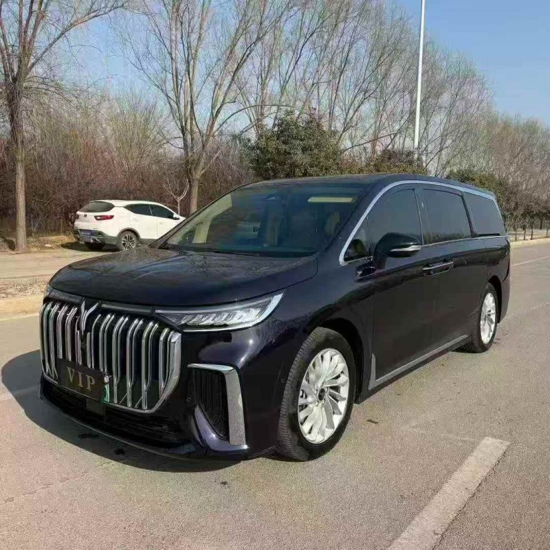 東營24年嵐圖汽車夢想家2