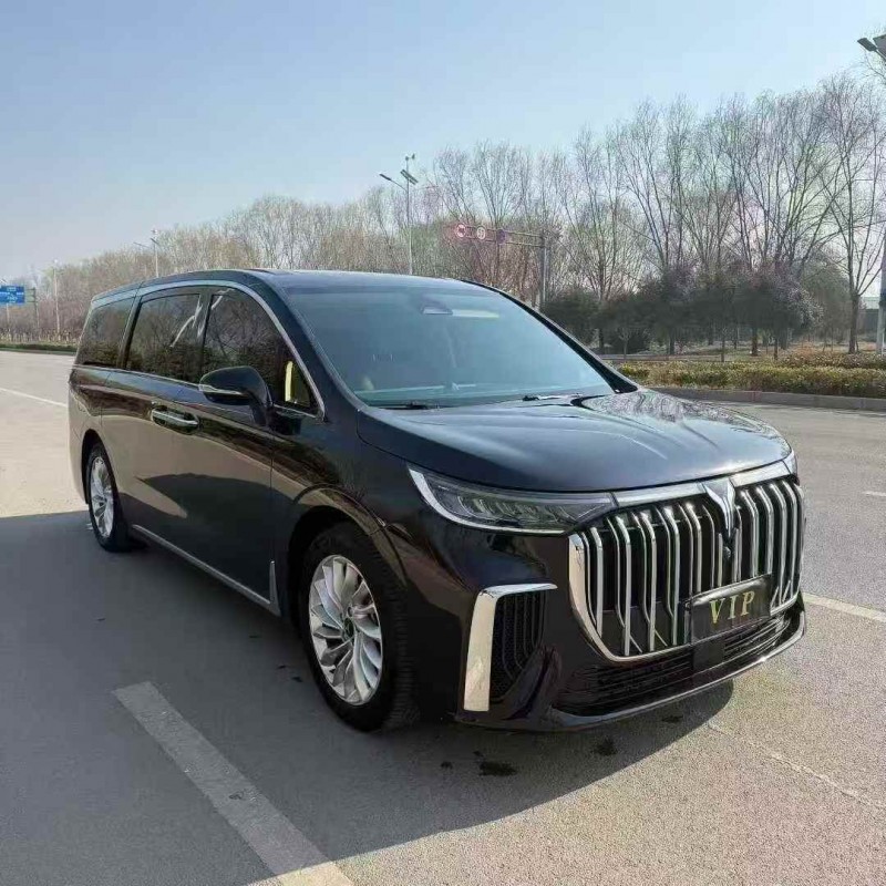 東營24年嵐圖汽車夢想家3