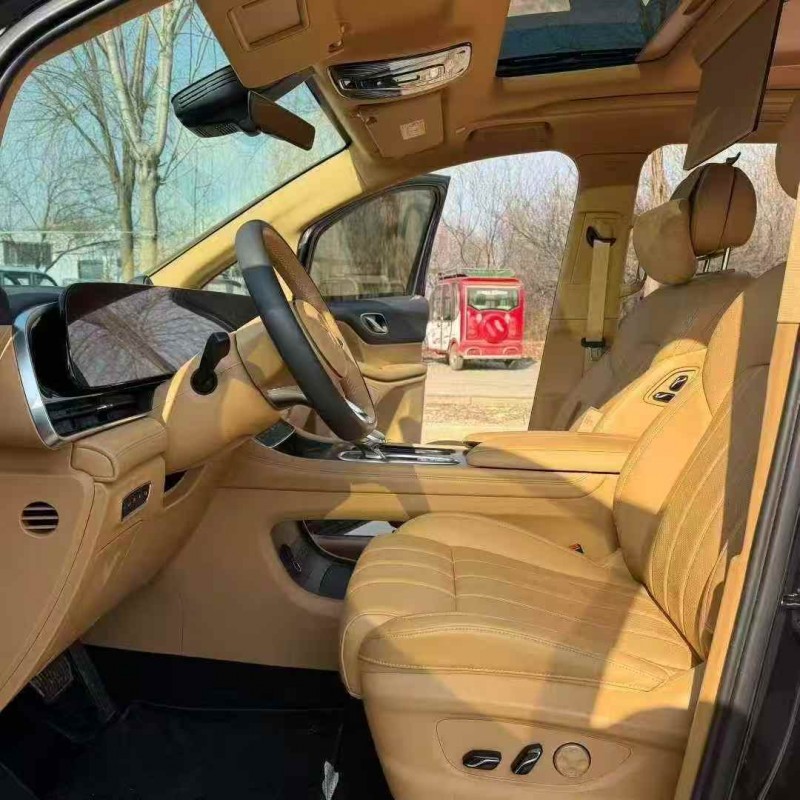 東營24年嵐圖汽車夢想家4