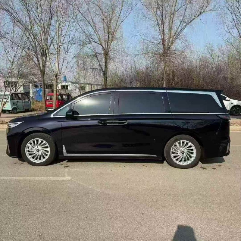 東營24年嵐圖汽車夢想家8